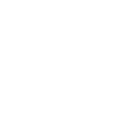 Language Proficiency Icon